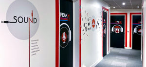 Habillage de portes et décor mural